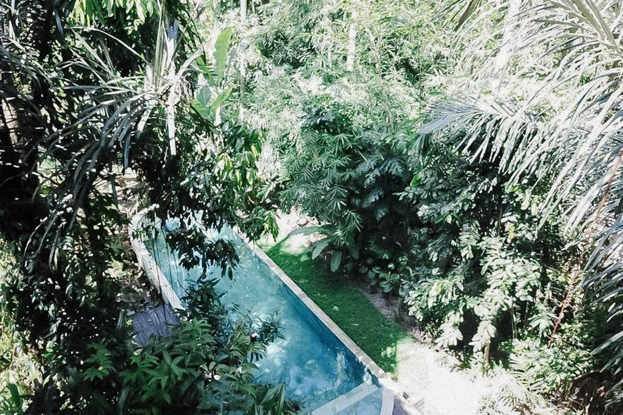 Shanti Toya Ashram Mambal Bagian luar foto
